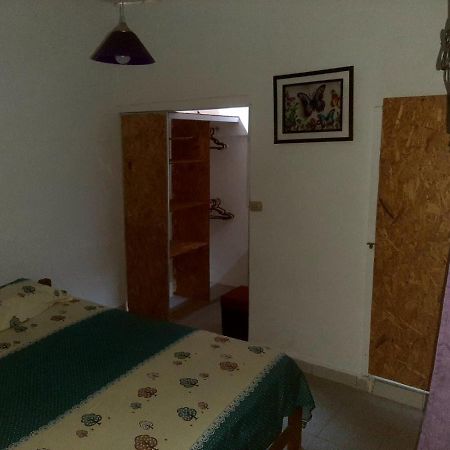 Hotel Backpacker Kitara House Tarapoto Exterior foto