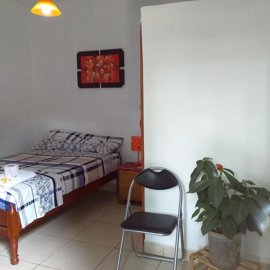 Hotel Backpacker Kitara House Tarapoto Exterior foto