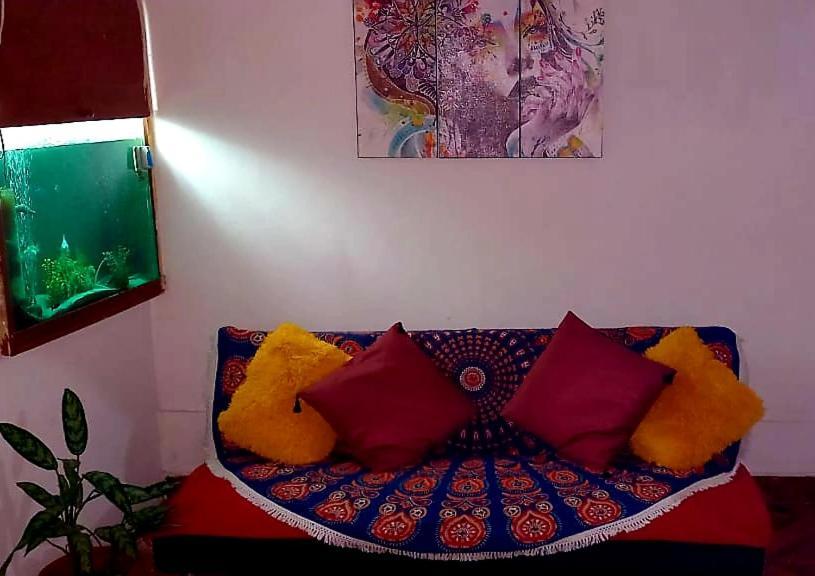 Hotel Backpacker Kitara House Tarapoto Exterior foto