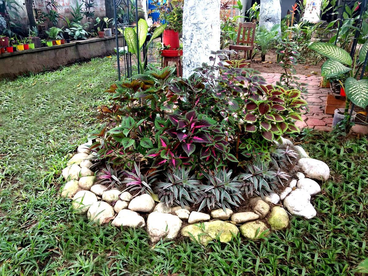 Hotel Backpacker Kitara House Tarapoto Exterior foto