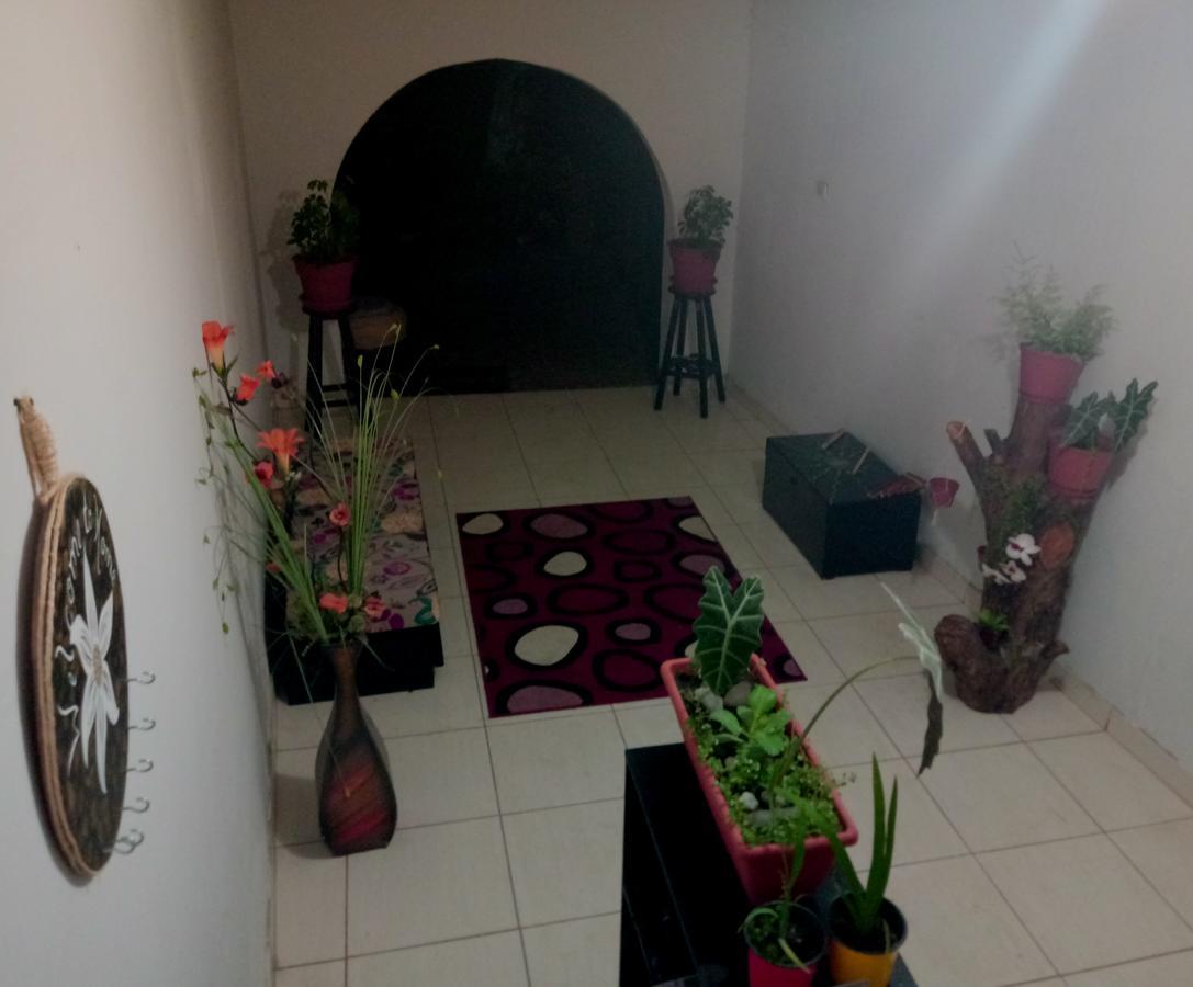 Hotel Backpacker Kitara House Tarapoto Exterior foto