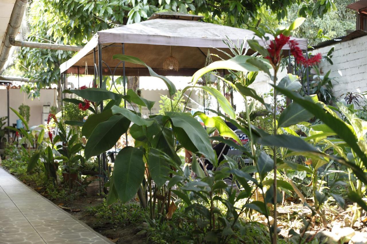 Hotel Backpacker Kitara House Tarapoto Exterior foto