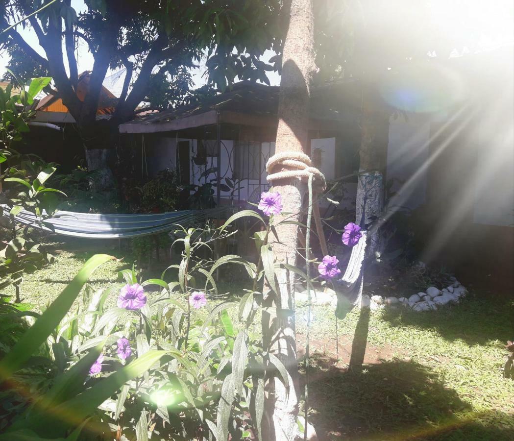 Hotel Backpacker Kitara House Tarapoto Exterior foto