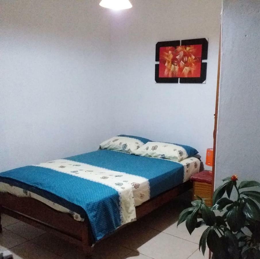 Hotel Backpacker Kitara House Tarapoto Exterior foto
